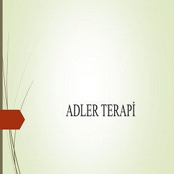 Alfred Adler'in Bireysel Psikoterapi Eğitimi