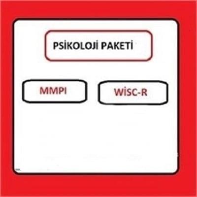 Üniversite OnaylıMMPI VE WISC-R ZEKA TESTİ EĞİTİMİ 