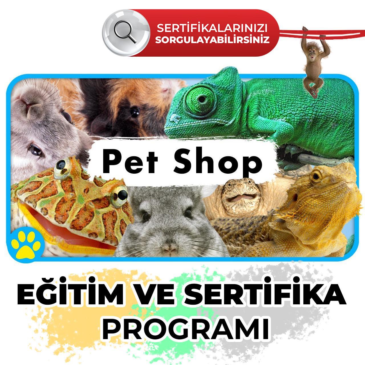 Üniversite OnaylıPet Shop Sertifikası ve Eğitimi