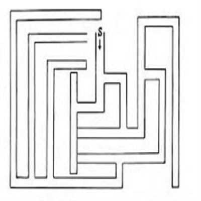 Porteus Labirentleri Testi 