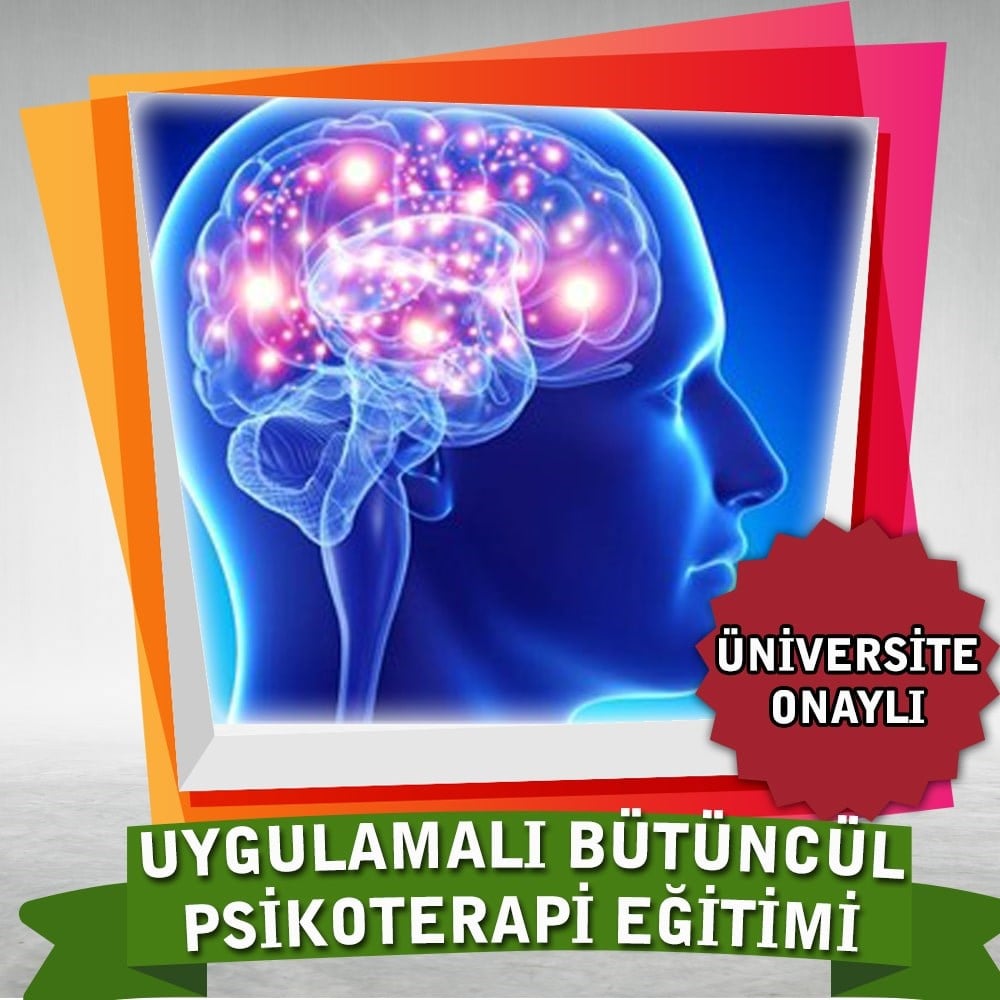 Üniversite OnaylıUygulamalı Bütüncül Psikoterapi Eğitimi
