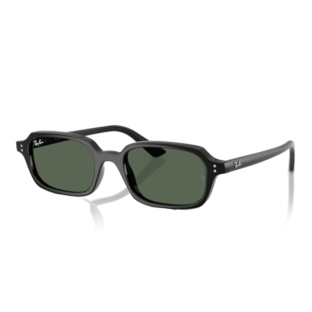 Ray-Ban 0RB4455 güneş gözlüğü