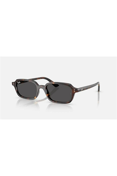 Ray-Ban 0RB4455 güneş gözlüğü