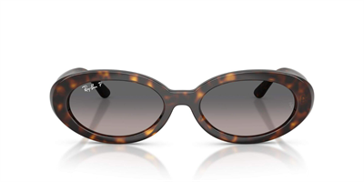 Ray-Ban 0RB2223-POLARİZE güneş gözlüğü