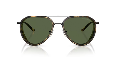 EMPORIO ARMANI Güneş Gözlüğü-0EA2163