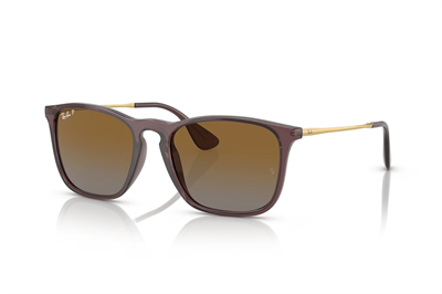Ray-Ban 0RB4187-POLARİZE güneş gözlüğü