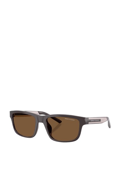 Armani Exchange0AX4169SU güneş gözlüğü