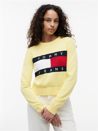 KADIN SWEATSHIRT-DW0DW22930ZF0