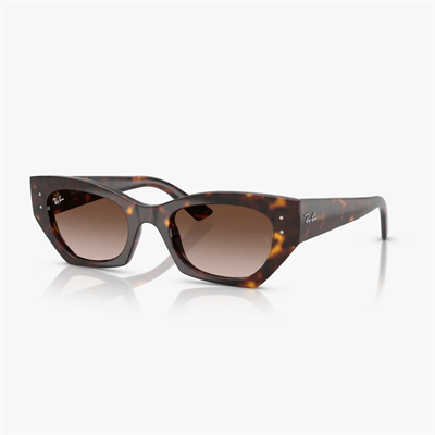 Ray-Ban 0RB4430 güneş gözlüğü