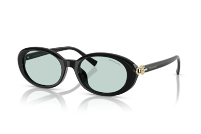 Tiffany 0TF4242D Güneş Gözlüğü