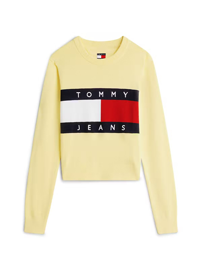 KADIN SWEATSHIRT-DW0DW22930ZF0