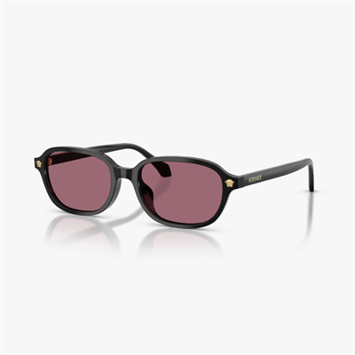 Versace 0VE4514D Güneş Gözlüğü