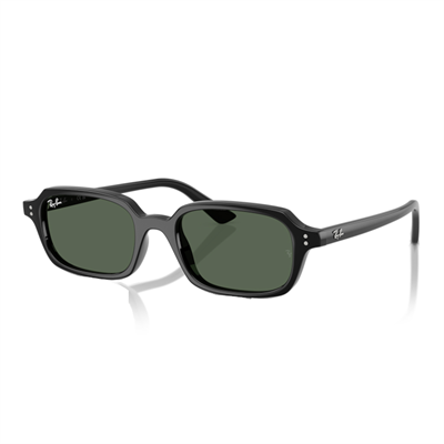 Ray-Ban 0RB4455 güneş gözlüğü