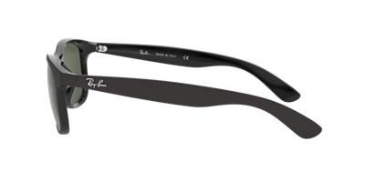 Ray-Ban 0RB4202-1 güneş gözlüğü
