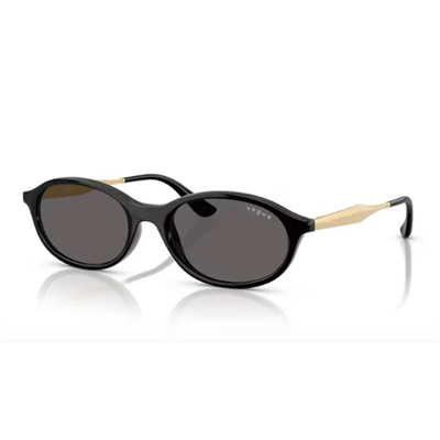 VOGUE EYEWEAR 0VO5625S  güneş gözlüğü