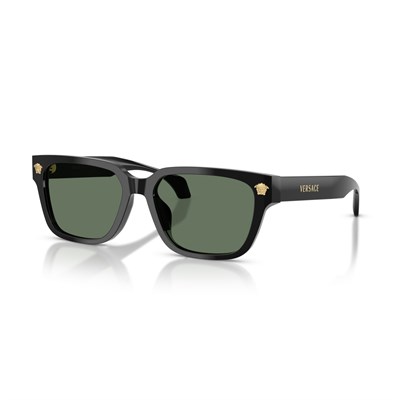 Versace 0VE4513D Güneş Gözlüğü