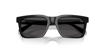 EMPORIO ARMANI Güneş Gözlüğü-0EA4262U