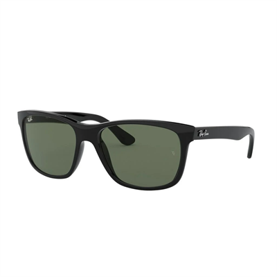 Ray-Ban 0RB4181-1 güneş gözlüğü