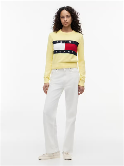 KADIN SWEATSHIRT-DW0DW22930ZF0