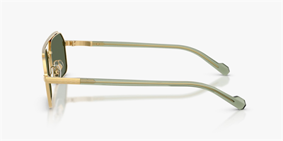 VOGUE EYEWEAR 0VO4356S güneş gözlüğü