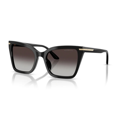 EMPORIO ARMANI Güneş Gözlüğü-0EA4273BU