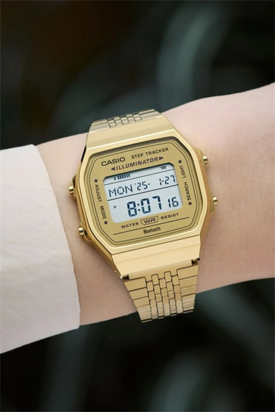 Casio kol saati ABL-100WEG-9ADF