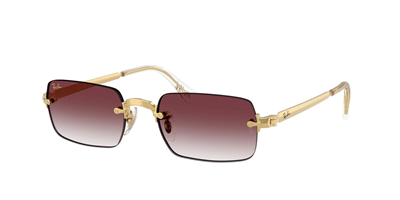 Ray-Ban 0RB3928 güneş gözlüğü