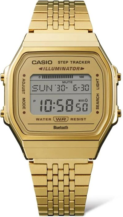 Casio kol saati ABL-100WEG-9ADF