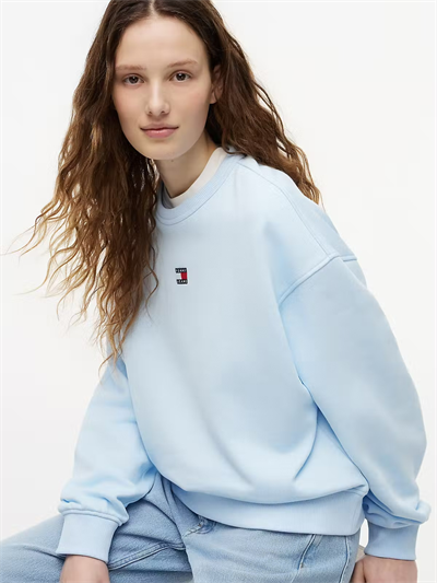 KADIN SWEATSHIRT-DW0DW17325C1R