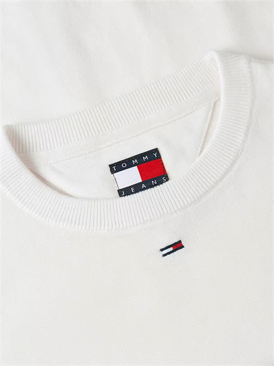 Kadın  Sweatshirt-DW0DW20159YBH