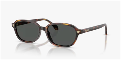 Versace 0VE4514D Güneş Gözlüğü