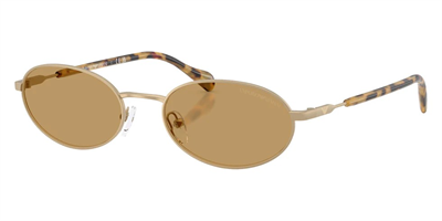 EMPORIO ARMANI Güneş Gözlüğü-0EA2175