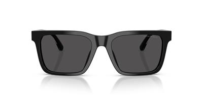 EMPORIO ARMANI Güneş Gözlüğü-0EA4262U