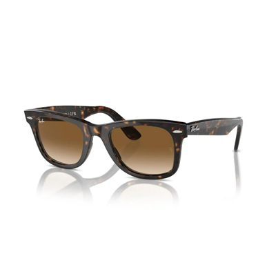Ray-Ban  0RB2140-WAYFARER güneş gözlüğü