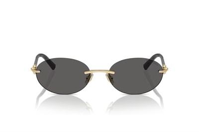 Tiffany 0TF3104D Güneş Gözlüğü