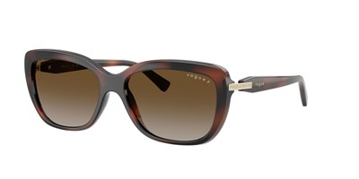 VOGUE EYEWEAR 0VO5678SB-POLARİZE güneş gözlüğü