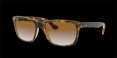 Ray-Ban güneş gözlüğü