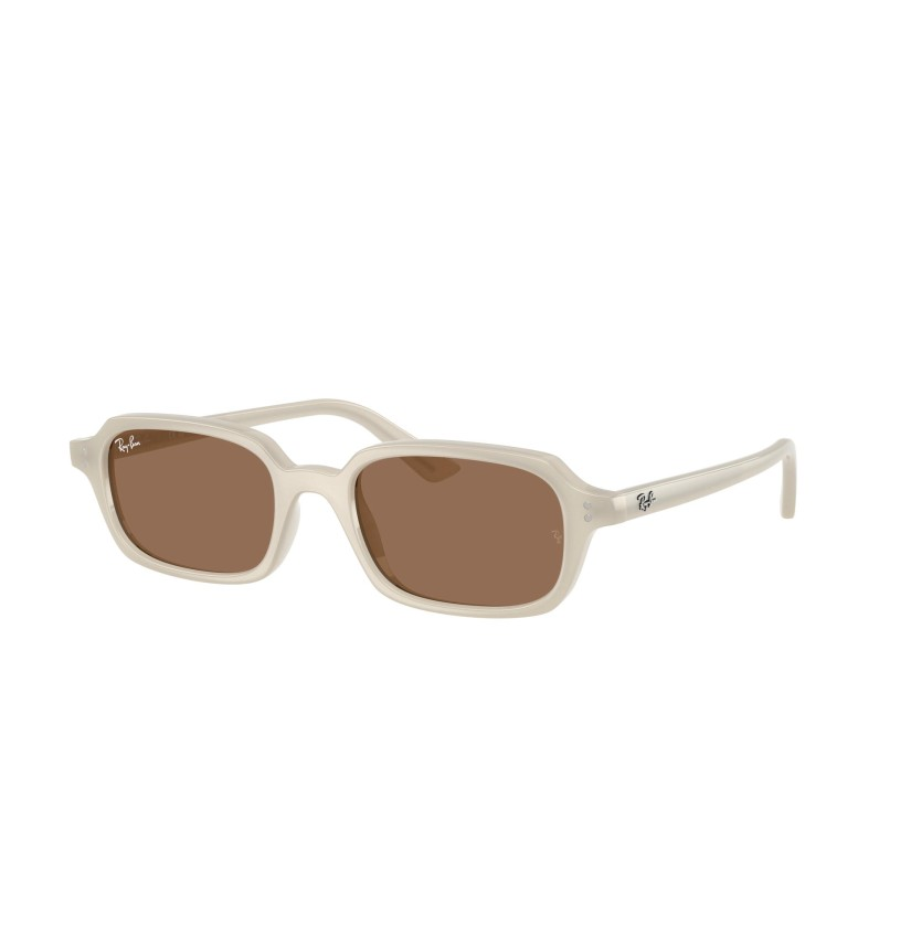 Ray-Ban 0RB4455 güneş gözlüğü