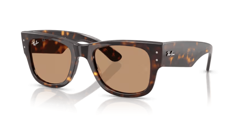 Ray-Ban 0RB0840S-1 güneş gözlüğü