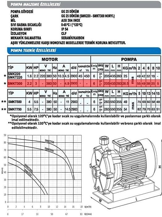 Sumak SMKT300-S Sıcak Su Çift Kademeli Santrifüj Pompa