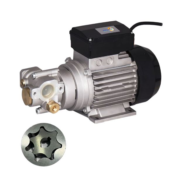 DYB-15EV Dişli Yağ Transfer Pompası - Orta ve Yüksek Yoğunluk (220V - 1200W)