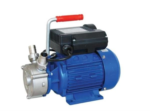 Water Sound BEM-20 4P Çift Yönlü Paslanmaz Çelik Yağ Aktarma Pompası 1450 d/d