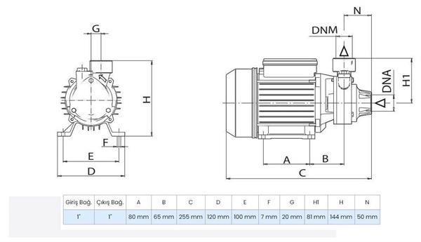 Wilo PV 30M Döküm Gövdeli Preferikal Pompa 0.5 Hp 35 mss 2 m³/h 220 Volt