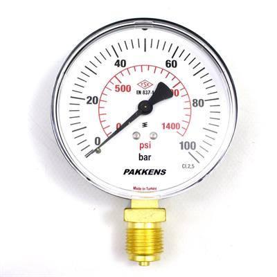 Pakkens 0-100 Bar 100 mm Alttan Bağlantılı Kuru Manometre G 1/2 inç