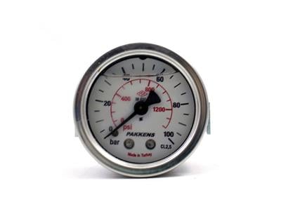 Pakkens 0-100 Bar 100 mm Arkadan Bağlantılı Panotipi Gliserinli Manometre G 1/2 inç