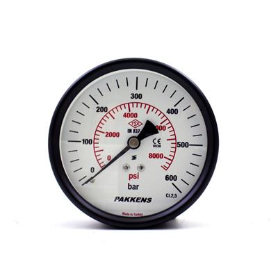 Pakkens 0-600 Bar 63 mm Arkadan Bağlantılı Panotipi Kuru Manometre G 1/4 inç
