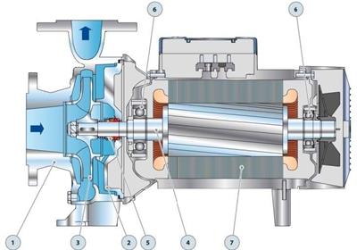 Pedrollo F 50/160A - I Flanşlı Santrifüj Paslanmaz Pompa