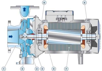 Pedrollo F 65/125B - I Flanşlı Santrifüj Paslanmaz Pompa