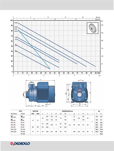 Pedrollo PK 300 Preferikal Pompa Trifaze (380V) 100 mss 5.4 m³/h