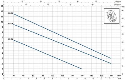 Pedrollo RXm 5 GM Gizli Flatörlü Full Paslanmaz Drenaj Dalgıç Pompa